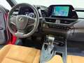 Lexus UX 250h Business 2WD Rojo - thumbnail 29
