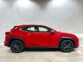 Lexus UX 250h Business 2WD Rojo - thumbnail 31