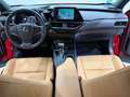 Lexus UX 250h Business 2WD Rojo - thumbnail 7