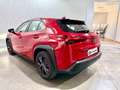 Lexus UX 250h Business 2WD Rojo - thumbnail 4
