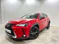 Lexus UX 250h Business 2WD Rojo - thumbnail 1