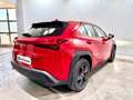 Lexus UX 250h Business 2WD Rojo - thumbnail 5