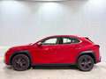 Lexus UX 250h Business 2WD Rojo - thumbnail 32