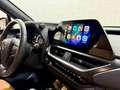 Lexus UX 250h Business 2WD Rojo - thumbnail 21