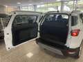 Ford EcoSport Titanium 1.0 NAVI+KAMERA+SITZHEIZUNG Blanc - thumbnail 17