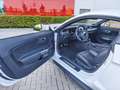 Ford Mustang Mustang Fastback 5.0 Ti-VCT V8 GT Weiß - thumbnail 11