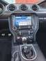 Ford Mustang Mustang Fastback 5.0 Ti-VCT V8 GT Weiß - thumbnail 14