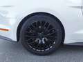 Ford Mustang Mustang Fastback 5.0 Ti-VCT V8 GT Weiß - thumbnail 17