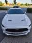Ford Mustang Mustang Fastback 5.0 Ti-VCT V8 GT Weiß - thumbnail 6