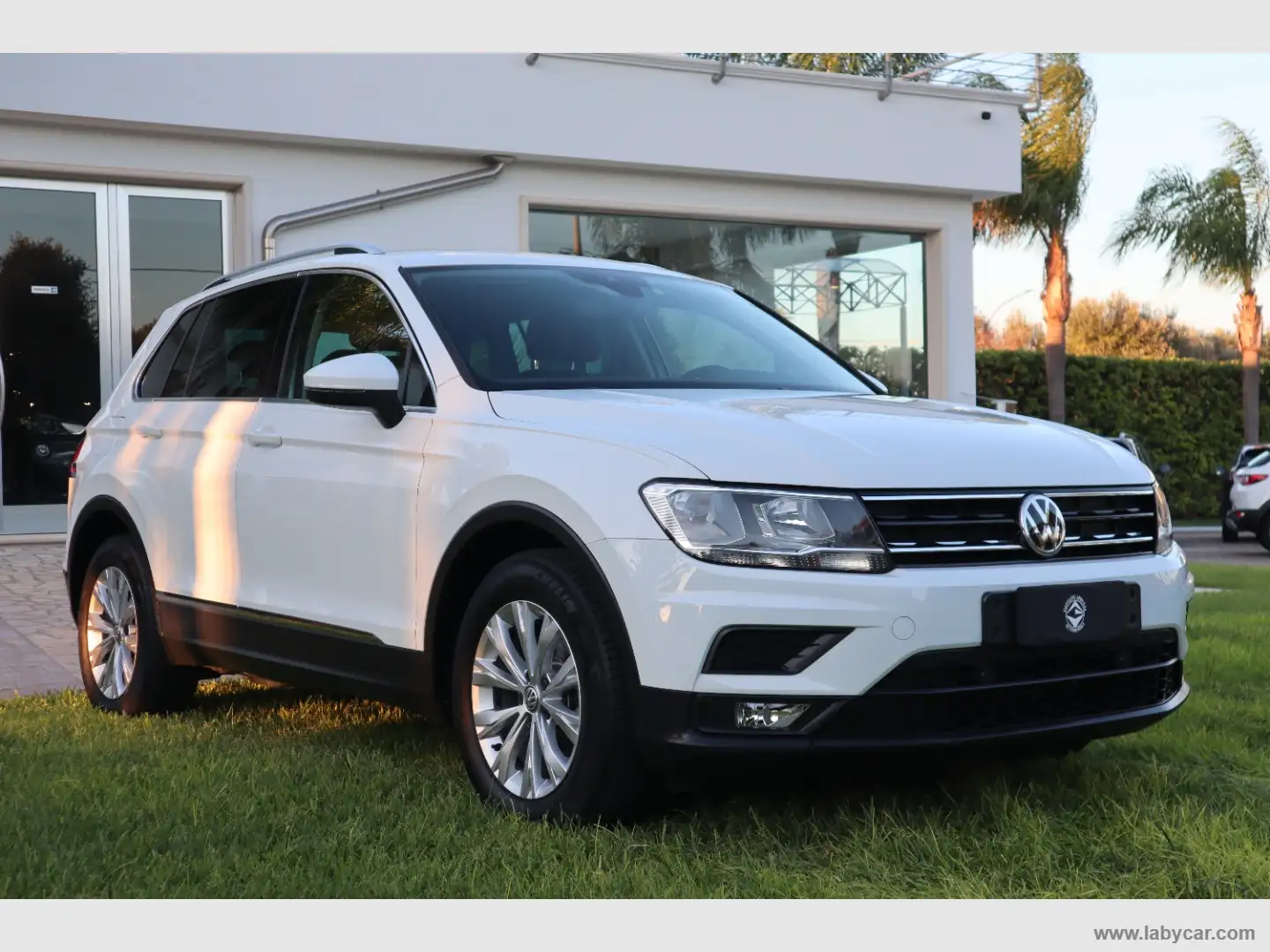 Volkswagen Tiguan 1.6 TDI Business BMT Blanc - 1
