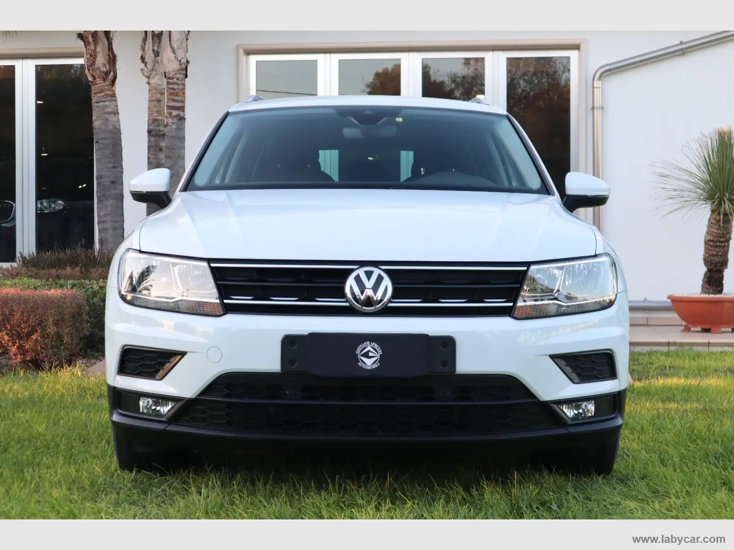 Volkswagen Tiguan 1.6 TDI Business BMT Bianco - 2