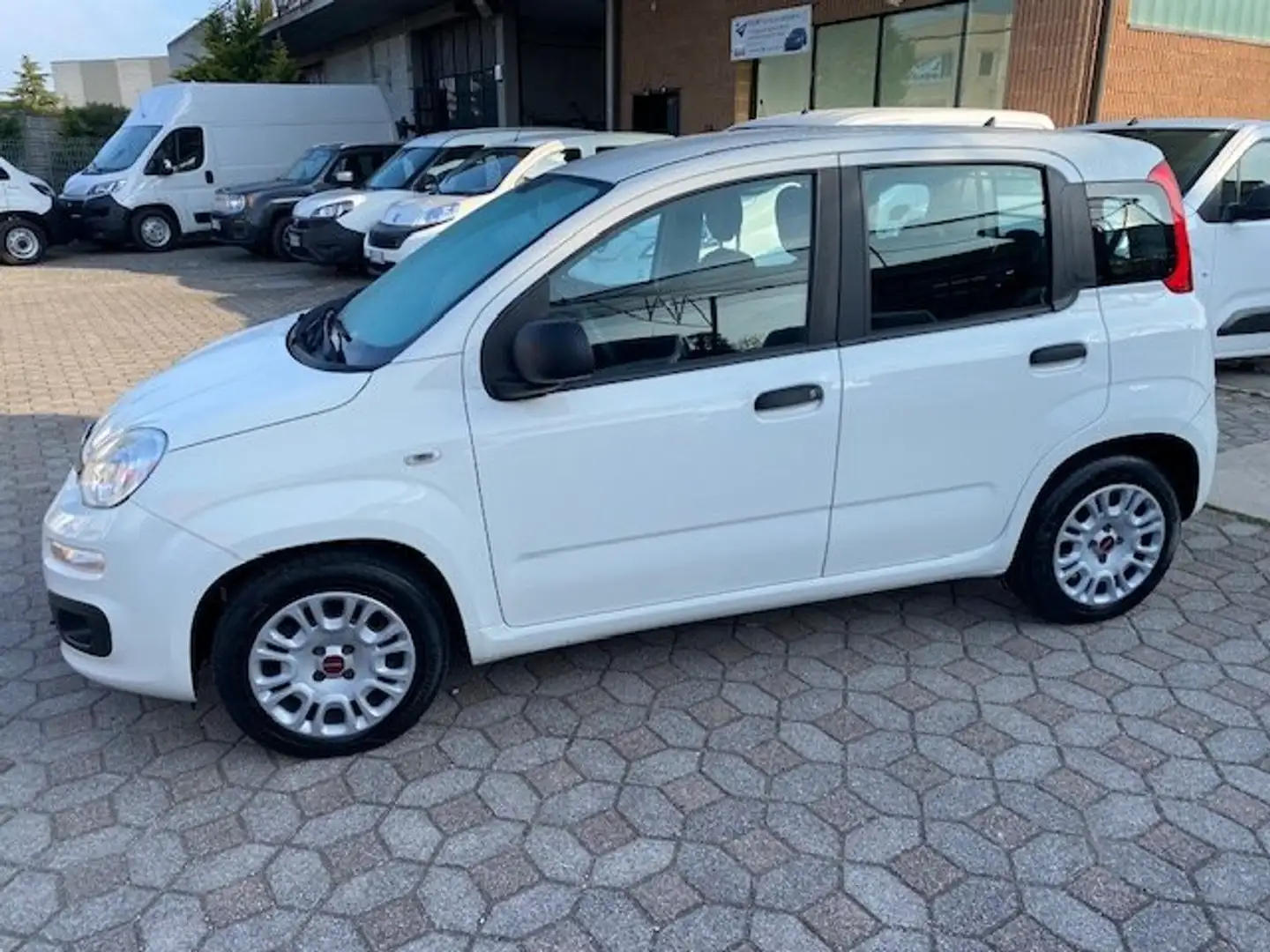 Fiat Panda 1.3 MTJ VAN 4 POSTI Bianco - 2