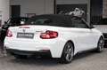 BMW 240 Cabrio|S-AGA OHNE OPF|HI-FI|NAVI|1.HAND !! bijela - thumbnail 8