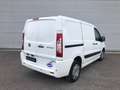 Fiat Scudo 2.0 mjt CH1 12Q Comfort 130cv COIBENTATO bijela - thumbnail 6