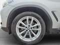 BMW X3 xDrive30d - Vollausstattung Plateado - thumbnail 9