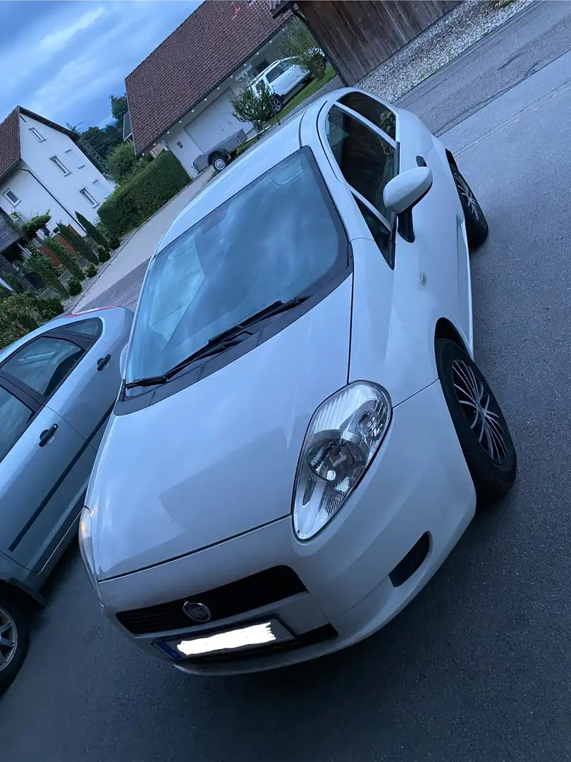 Fiat Punto Evo Punto Evo 1,2 Active 65 Active Weiß - 2