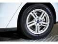 Ford Focus 1.5Ecoblue Trend+ Aut. 120 White - thumbnail 14