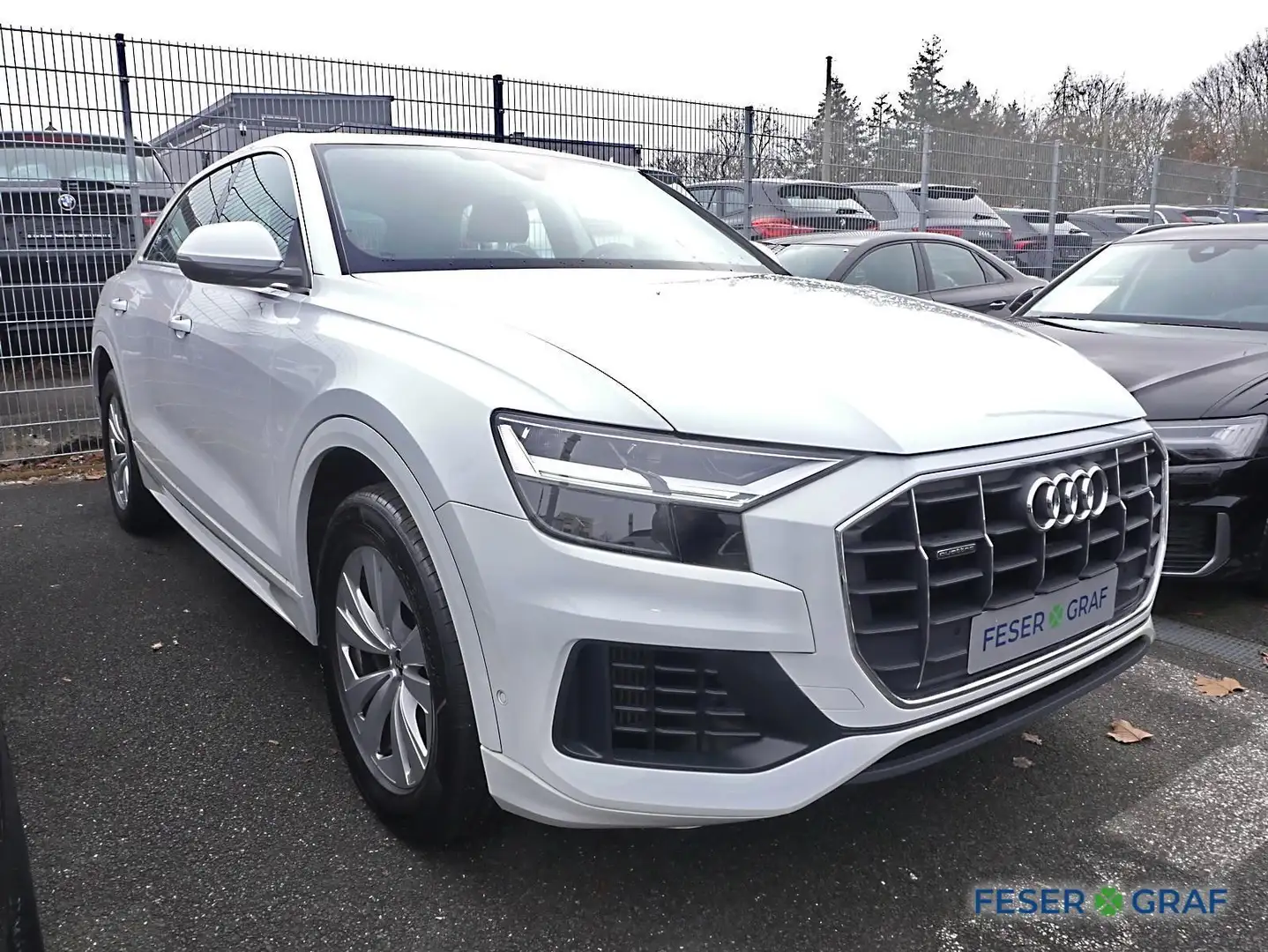Audi Q8 55 TFSI e quattro Pano Navi Tempomat AHK Weiß - 2