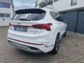 Hyundai SANTA FE 1.6 t-gdi hev Singature 4wd - thumbnail 11