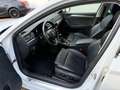 Skoda Superb 2.0 TDI Premium Edition Leder Kamera ACC Weiß - thumbnail 9