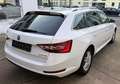 Skoda Superb 2.0 TDI Premium Edition Leder Kamera ACC Weiß - thumbnail 7
