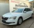 Skoda Superb 2.0 TDI Premium Edition Leder Kamera ACC Weiß - thumbnail 3