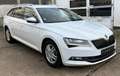 Skoda Superb 2.0 TDI Premium Edition Leder Kamera ACC Weiß - thumbnail 4