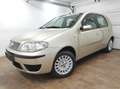Fiat Punto 1.2 8V *TÜV 10-26* KLIMA EURO-4 ALLWETTER AUX Gold - thumbnail 18
