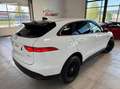 Jaguar F-Pace 20d 2.0 D 180cv-BVA-2018 Blanc - thumbnail 4