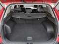 Kia Sportage Drive HEV 1.6 T-GDI 169 kW Burdeos - thumbnail 6
