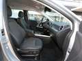 Mercedes-Benz B 220 d Progressive MBUX Navi Kamera Lenkradhzg Silber - thumbnail 9