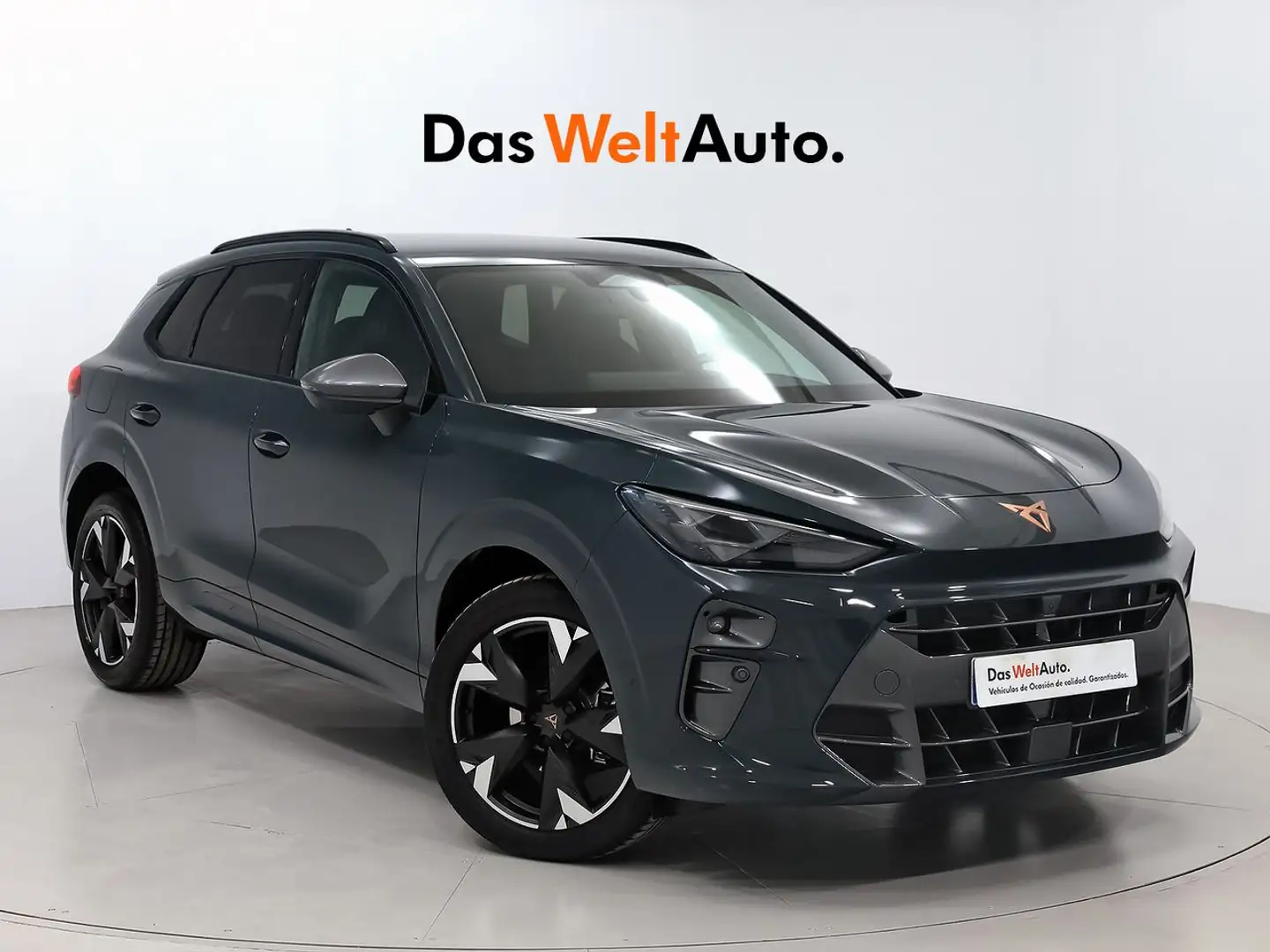 CUPRA Terramar 1.5 eTSI 110kW (150 CV) DSG Azul - 1