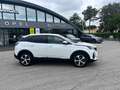 Peugeot 3008 BlueHDi 130 S&S Allure Pack Blanc - thumbnail 2