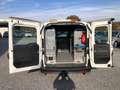 Fiat Doblo SX Maxi Kasten*AHK*Klima*Regalausbau*1.Hand* Weiß - thumbnail 8