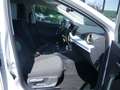 SEAT Ibiza 1.0 TSI Style KAMERA NAVI FACEL. LED Blanc - thumbnail 2