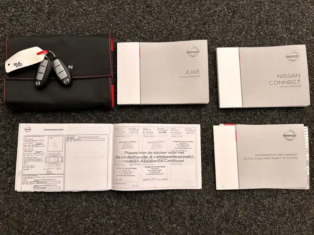 Nissan Juke view 8