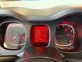 Fiat Panda Panda 1.0 hybrid City Cross s&s 70cv Wit - thumbnail 12