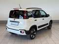 Fiat Panda Panda 1.0 hybrid City Cross s&s 70cv Wit - thumbnail 3