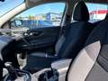 Nissan Qashqai Shiro - thumbnail 12