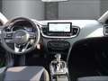 Kia Ceed / cee'd Vision 1.4 SHZ PDC Rückfahrkam. Navi digitales Coc Grün - thumbnail 10