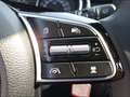 Kia Ceed / cee'd Vision 1.4 SHZ PDC Rückfahrkam. Navi digitales Coc Grün - thumbnail 20