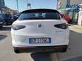 Alfa Romeo Stelvio Stelvio 2.2 Turbodiesel 160 CV AT8 RWD Competizio Bianco - thumbnail 6
