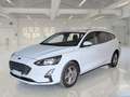 Ford Focus WAGON 1.5 Ecoblue 120cv Business - thumbnail 1