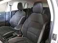 Ford Focus WAGON 1.5 Ecoblue 120cv Business - thumbnail 9