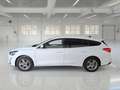 Ford Focus WAGON 1.5 Ecoblue 120cv Business - thumbnail 5