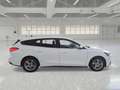 Ford Focus WAGON 1.5 Ecoblue 120cv Business - thumbnail 3