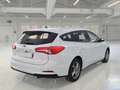 Ford Focus WAGON 1.5 Ecoblue 120cv Business - thumbnail 4