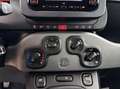 Fiat Panda City Life Hybrid 1.0 Gse 51kw (70CV) Gris - thumbnail 10