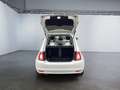 Fiat 500 1.0 Lounge SmartLink Bianco - thumbnail 14