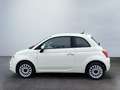 Fiat 500 1.0 Lounge SmartLink Bianco - thumbnail 3
